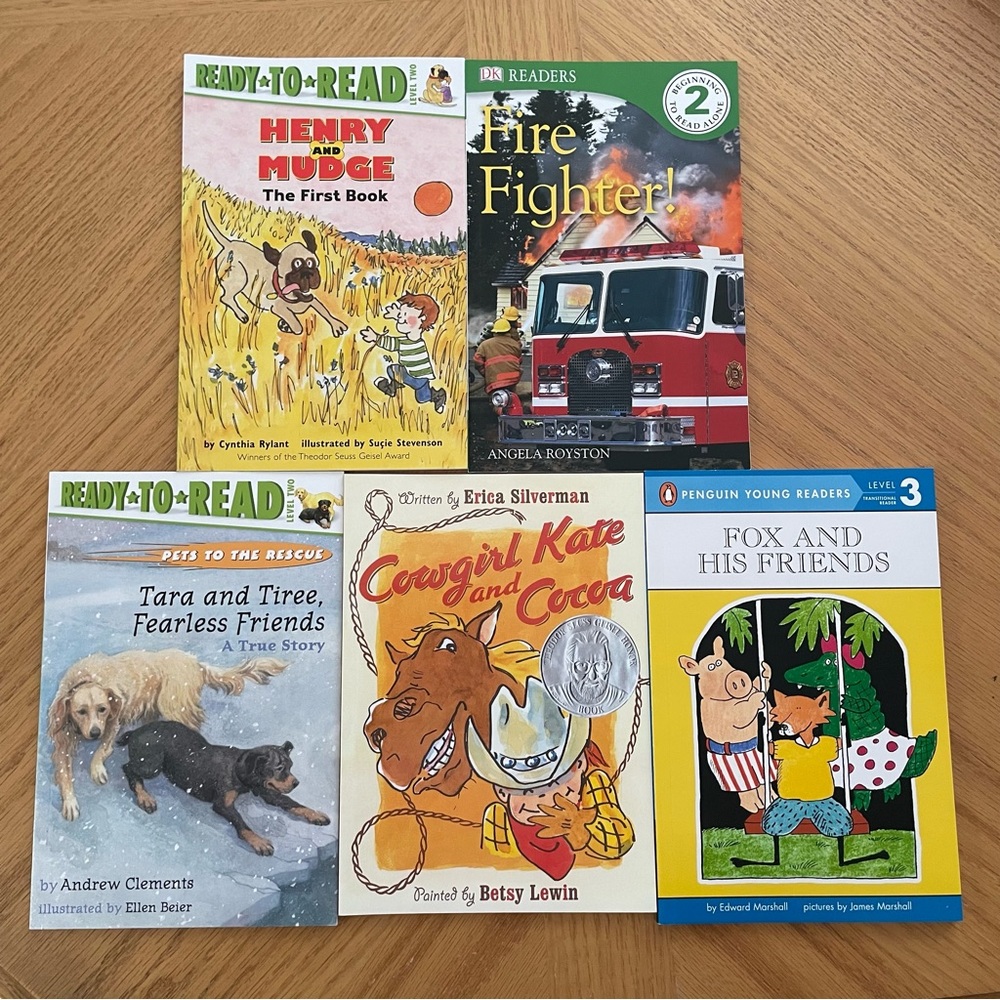 BOOKS - Set of 5 brand new beginning reader books